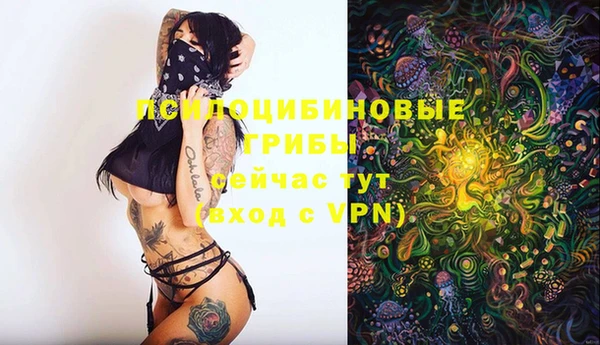 круглые Осинники