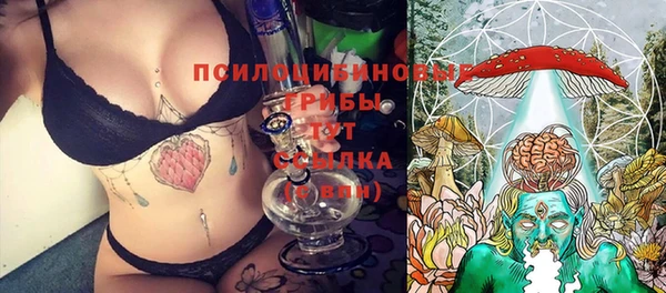 PSILOCYBIN Балабаново