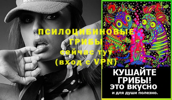 PSILOCYBIN Балабаново